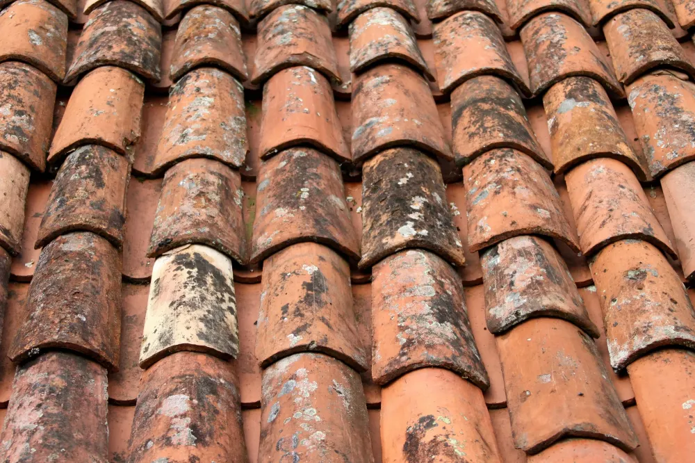 tuiles sales avec de la mousse