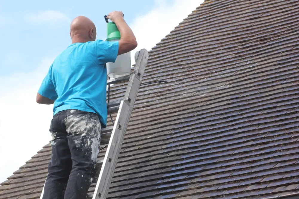 Démoussage toiture à Sarlat-la-Canéda